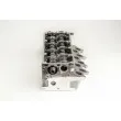 Culasse de cylindre AMC 908920 - Visuel 3