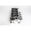 Culasse de cylindre AMC 908927K - Visuel 3