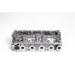 Culasse de cylindre AMC 908933 - Visuel 1