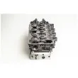 Culasse de cylindre AMC 908995K - Visuel 3