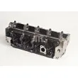 Culasse de cylindre AMC 909027K - Visuel 2