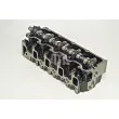 Culasse de cylindre AMC 909155K - Visuel 2