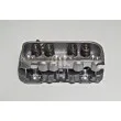 Culasse de cylindre AMC 910188 - Visuel 1