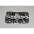 Culasse de cylindre AMC 910189 - Visuel 1