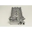 Culasse de cylindre AMC 910556K - Visuel 3