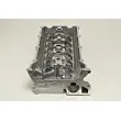 Culasse de cylindre AMC 910656K - Visuel 3