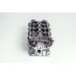 Culasse de cylindre AMC 910907K - Visuel 3