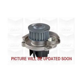 Pompe à eau GRAF PA1030