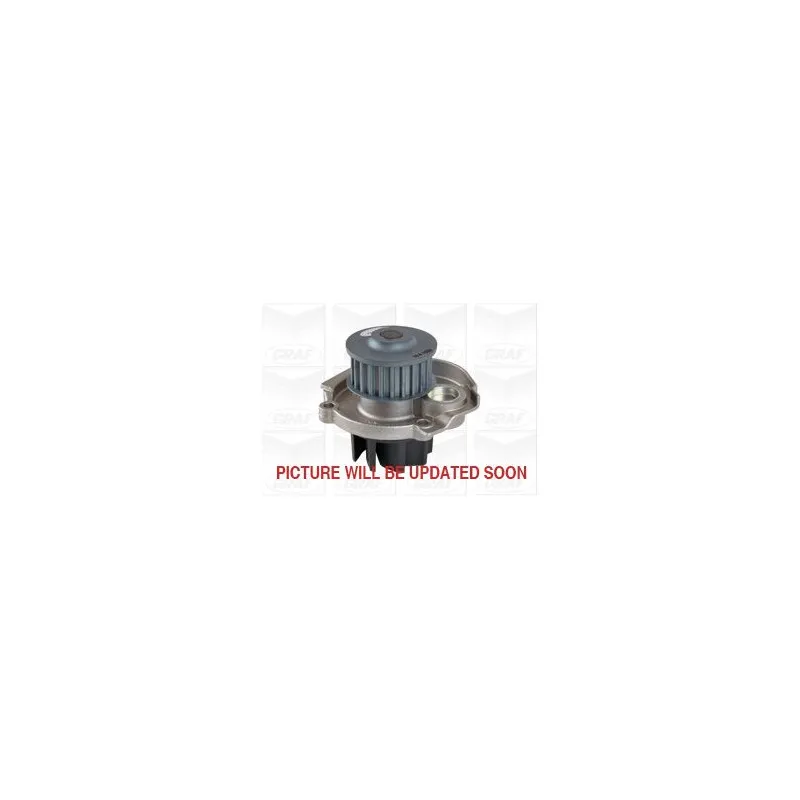 Pompe à eau GRAF PA1030