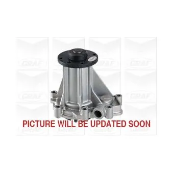 Pompe à eau GRAF PA1150
