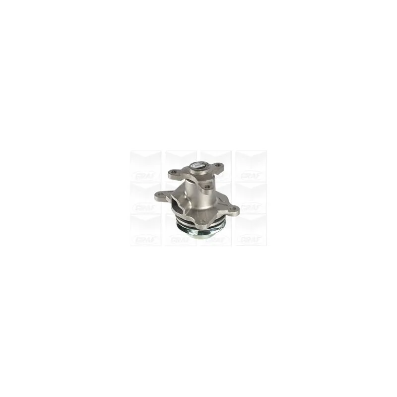 Pompe à eau GRAF PA1185