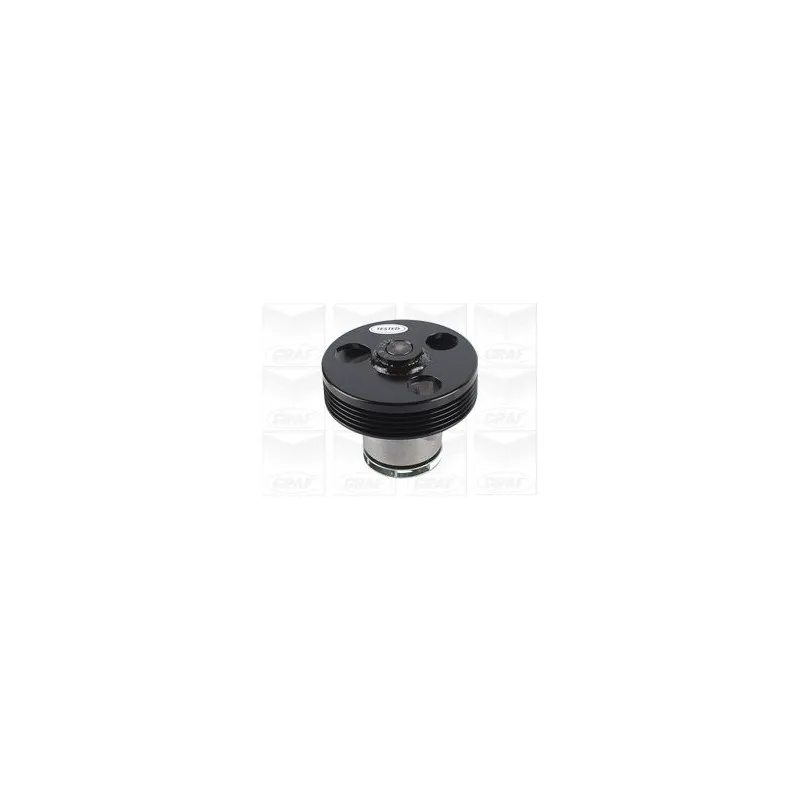 Pompe à eau GRAF PA1220