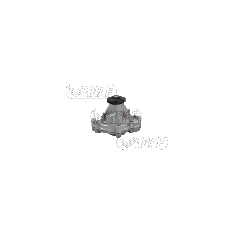 Pompe à eau GRAF PA1399