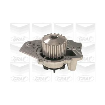 Pompe à eau GRAF PA256