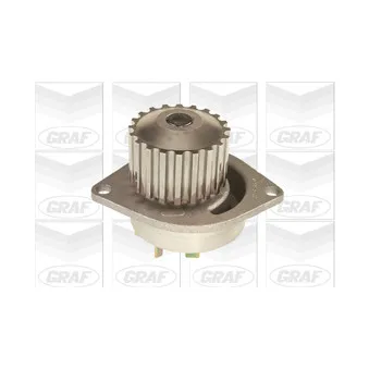 Pompe à eau GRAF PA491