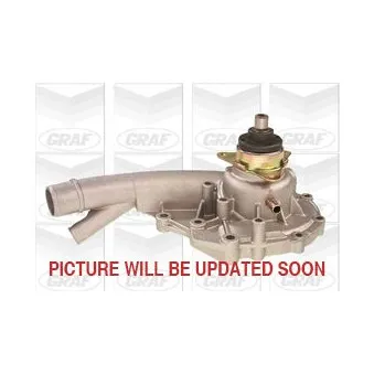 Pompe à eau GRAF PA495