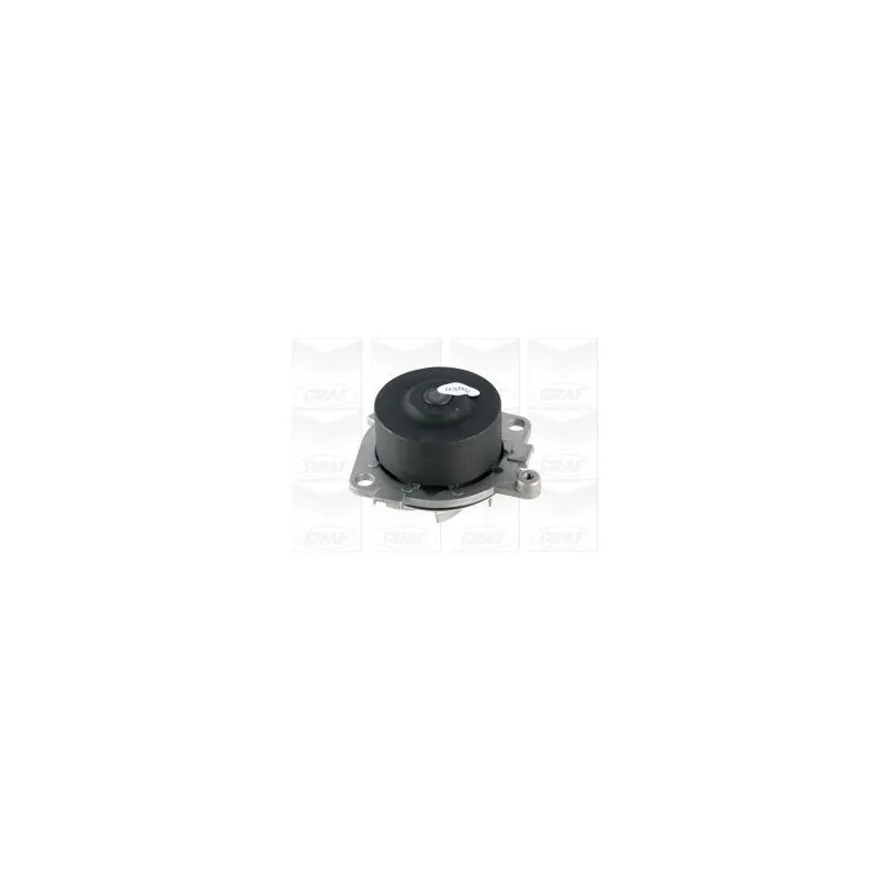 Pompe à eau GRAF PA621