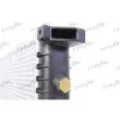 Radiateur, refroidissement du moteur FRIGAIR 0102.3136 - Visuel 3