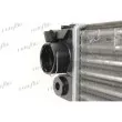 Radiateur, refroidissement du moteur FRIGAIR 0103.3098 - Visuel 3