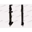 Radiateur, refroidissement du moteur FRIGAIR 0109.3021 - Visuel 3