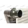 Radiateur, refroidissement du moteur FRIGAIR 0110.3167 - Visuel 3