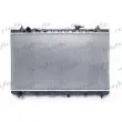 Radiateur, refroidissement du moteur FRIGAIR 0133.3061 - Visuel 1