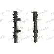 Radiateur, refroidissement du moteur FRIGAIR 0204.2025 - Visuel 2