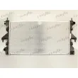 Radiateur, refroidissement du moteur FRIGAIR 0204.3095 - Visuel 1