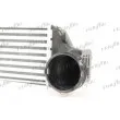 Intercooler, échangeur FRIGAIR 0702.3009 - Visuel 3