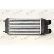 Intercooler, échangeur FRIGAIR 0703.3012 - Visuel 1
