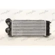 Intercooler, échangeur FRIGAIR 0703.3015 - Visuel 2