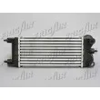 Intercooler, échangeur FRIGAIR 0703.3025 - Visuel 2