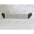 Intercooler, échangeur FRIGAIR 0704.3049 - Visuel 2