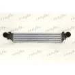Intercooler, échangeur FRIGAIR 0706.3001 - Visuel 1