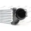 Intercooler, échangeur FRIGAIR 0706.3019 - Visuel 2