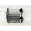 Intercooler, échangeur FRIGAIR 0706.3025 - Visuel 1