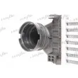 Intercooler, échangeur FRIGAIR 0706.3031 - Visuel 2