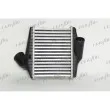 Intercooler, échangeur FRIGAIR 0706.3033 - Visuel 1