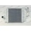 Intercooler, échangeur FRIGAIR 0709.3110 - Visuel 1