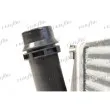 Intercooler, échangeur FRIGAIR 0709.3113 - Visuel 2