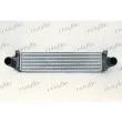 Intercooler, échangeur FRIGAIR 0711.3035 - Visuel 1