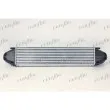 Intercooler, échangeur FRIGAIR 0711.3035 - Visuel 2