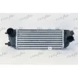 Intercooler, échangeur FRIGAIR 0733.3004 - Visuel 1