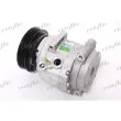 Compresseur, climatisation FRIGAIR 920.10979 - Visuel 1