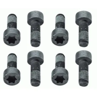 Visserie, volant moteur SACHS 1874 000 010