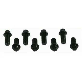 Visserie, volant moteur SACHS