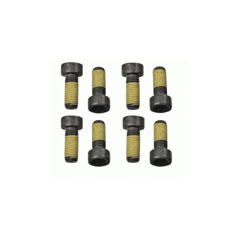 Visserie, volant moteur SACHS 1874 000 048