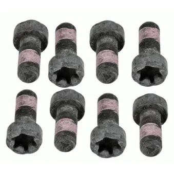 Visserie, volant moteur SACHS 1874 000 050