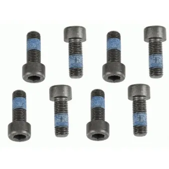 Visserie, volant moteur SACHS 1874 000 053