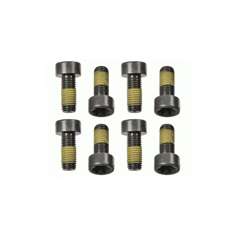 Visserie, volant moteur SACHS 1874 000 058